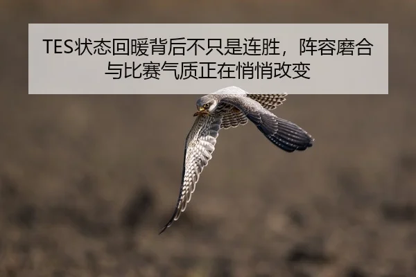 TES状态回暖背后不只是连胜，阵容磨合与比赛气质正在悄悄改变